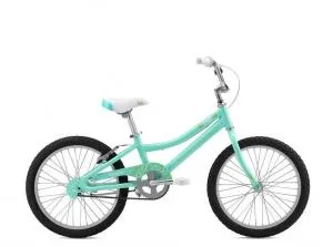 Велосипед FUJI LIFESTYLE KIDS мод. ROOKIE 20 GIRL A1-SL р.20 бирюзовый металик (ЧЗ)