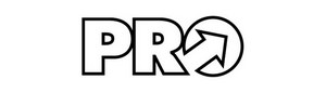 PRO логотип большой PRO logo big