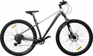 Велосипед BOZGOO Grande 29